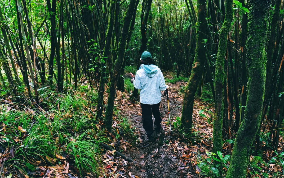 Lịch khởi hành tour trekking