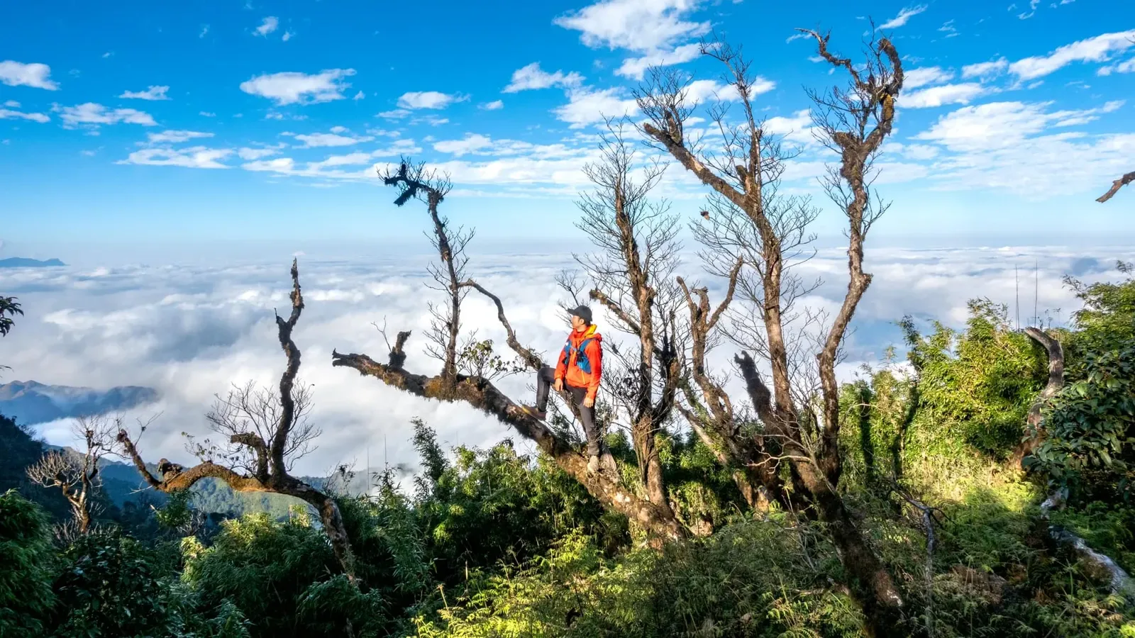 Chinh phục Sa Mu 2 ngày 2 đêm